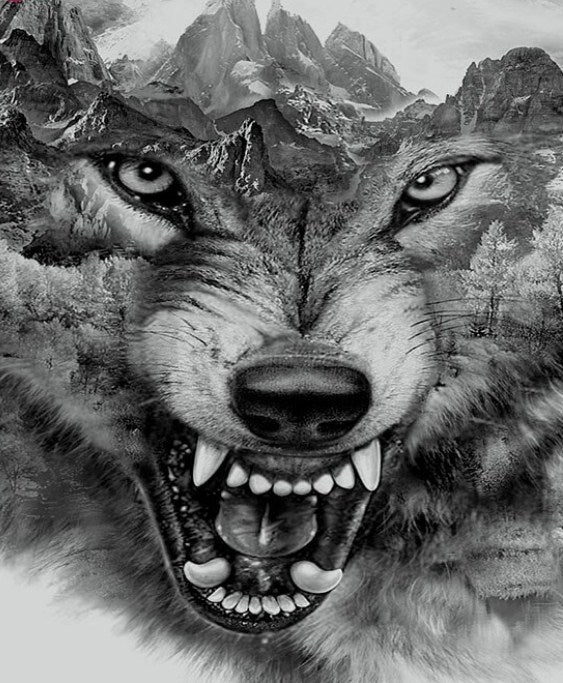 Abstract Wolf Face Diamond Painting All Diamond Painting