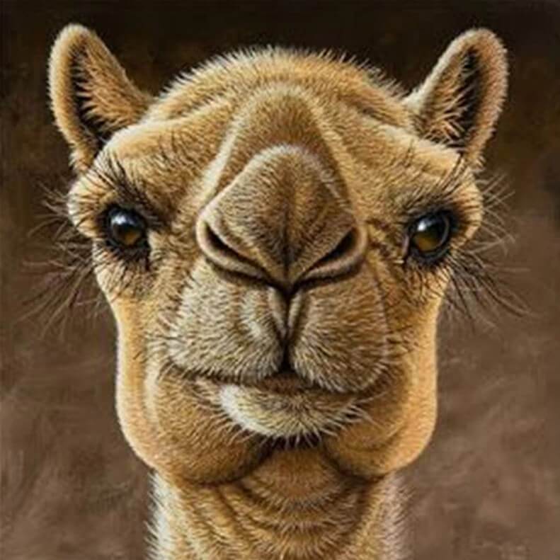 Camel Diamond Painting Kit – All Diamond Painting