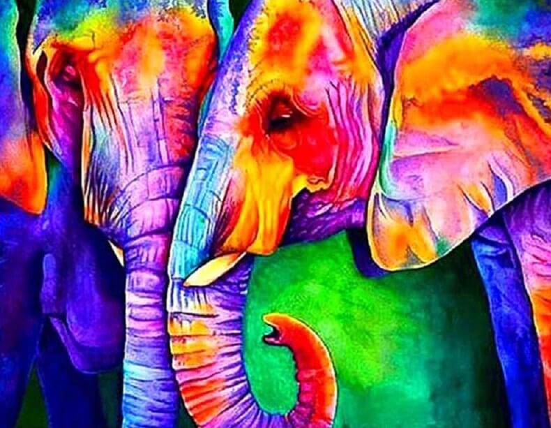 Colorful Elephant Pair All Diamond Painting