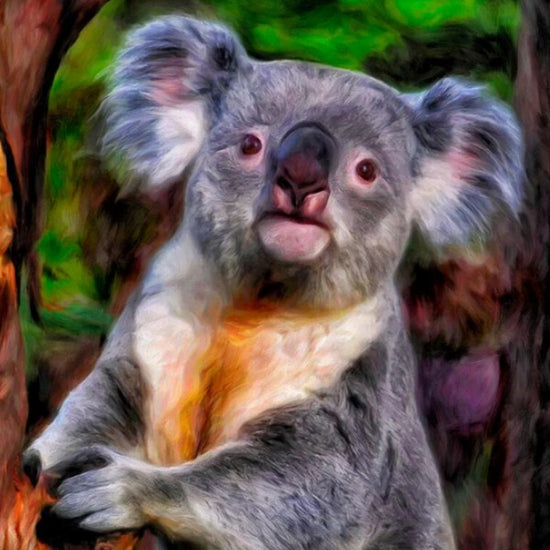 Cute Baby Koala Paint By Diamonds All Diamond Painting