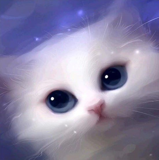 Cute White Cat With Blue Eyes All Diamond Painting