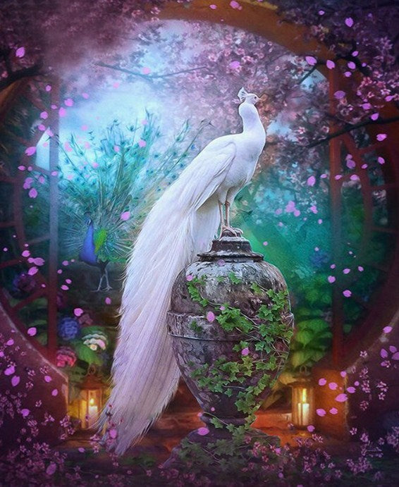 Elegant White Peacock All Diamond Painting