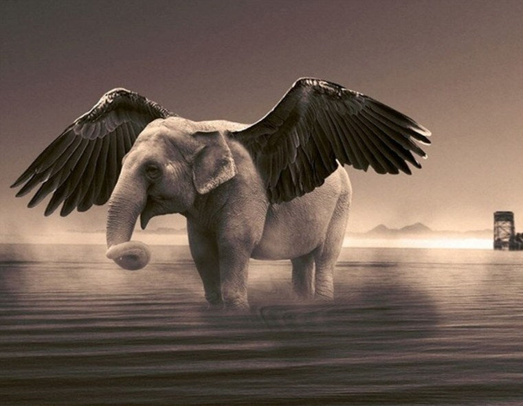 Fantasy_Flying_Elephant_Diamond_Painting_1200x1200.jpg