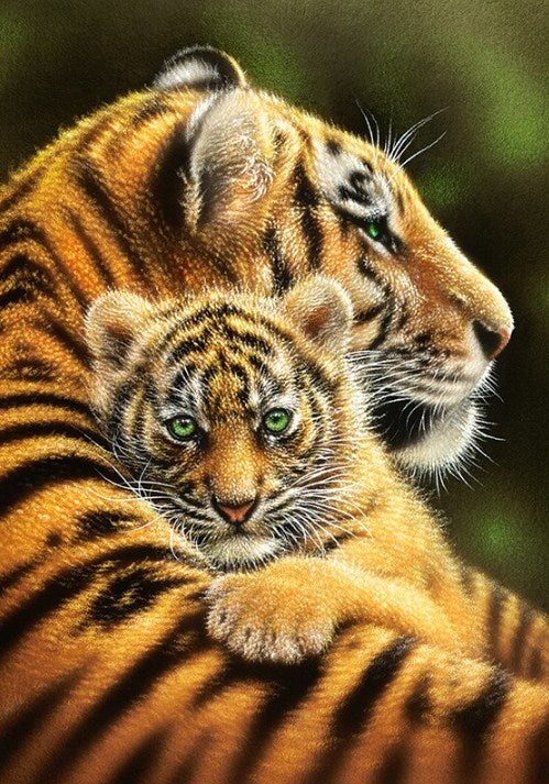 Tiger_Cub_Hugging.jpg?v=1562408852