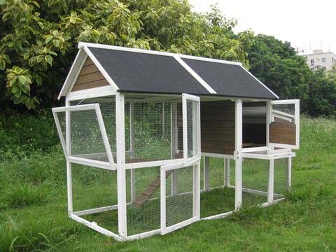 Innovation Pet X Large Superior Chicken Coop