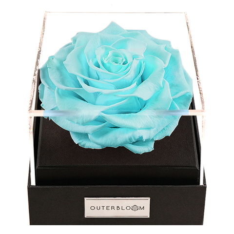 tiffany blue flowers