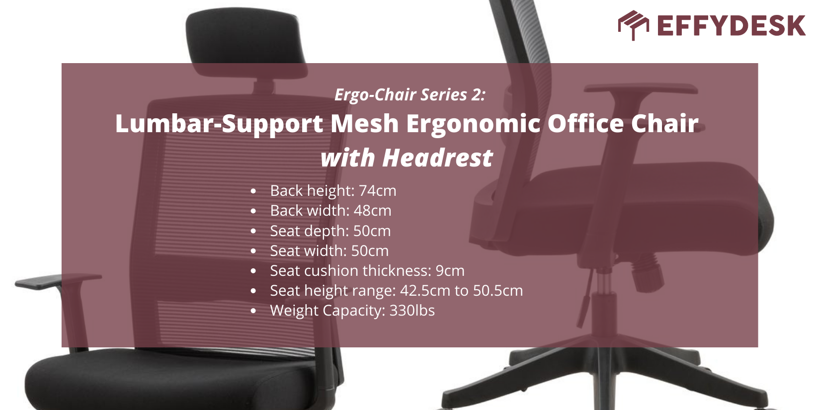 Best Office Chairs for Back Pain: The EFFYDESK Guide