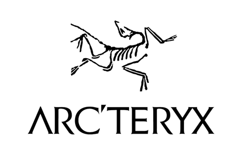 arcteryx dinosaur logo