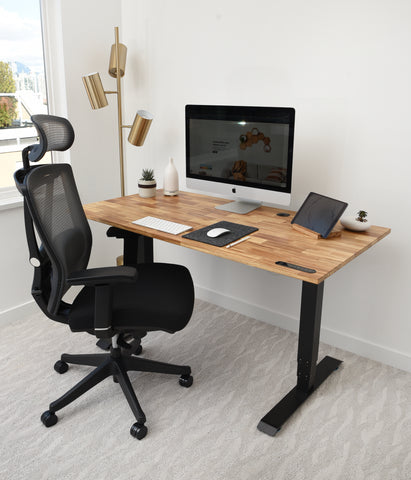 TerraDesk Sustainable Eco-Friendly Sit-Stand Electric Standing Desk with KarmaChair Ergonomic Office Chair