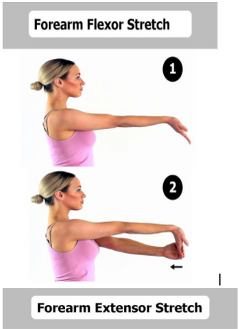Forearm Flexor Stretch help you relieve pain