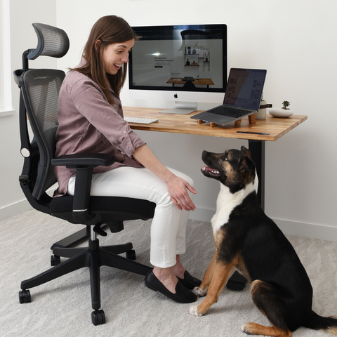 Woman is petting the dog while siting on the Eco-Friendly Height-Adjustable Standing Desk