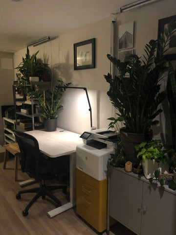 @polishhousekeeper - EFFYDESK - standing desk setup lush green plants