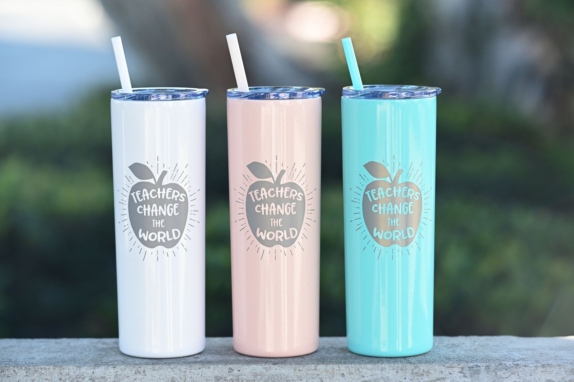 Teacher Gift Tumbler With Straw Fast Shipping It Takes A Big Heart