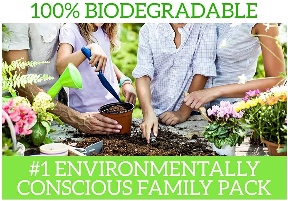 Biodegradable Toothbrush with Charcoal Bristle Toothbrush