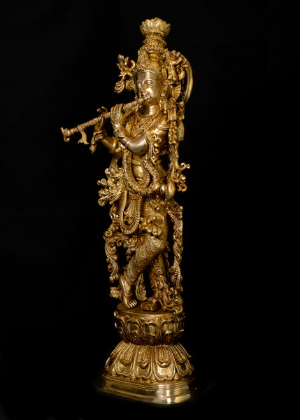 Sri Krishna - Vasudeva Putra 29