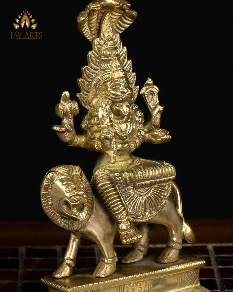 Goddess Pratyangira Devi (Atharvana Bhadrakali) 7