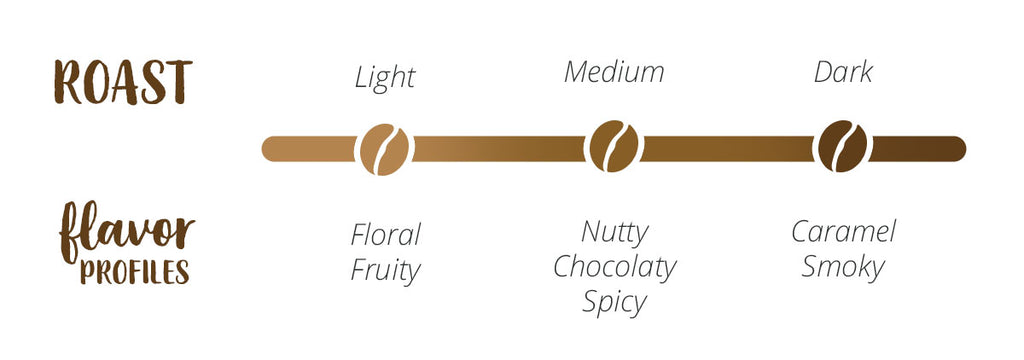 White background and brown font linear graph for different coffee roasts and their respective flavor profiles. Light Roasts may have floral and fruity flavors, Medium Roasts can be Nutty, Chocolaty, or Spicy, and Dark Roasts can have Caramel or Smoky flavors.