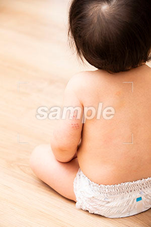 床に座るオムツの赤ちゃんの後ろ姿 背中の写真素材 Aph Prismgraph プリズムグラフ