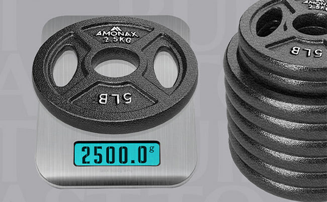 2 inch weight plates for gym