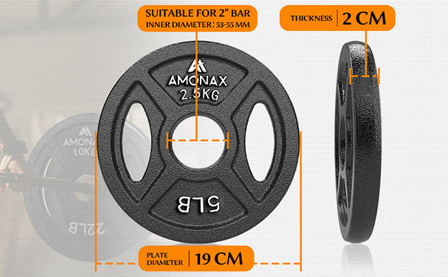 2 inch weight plates for gym