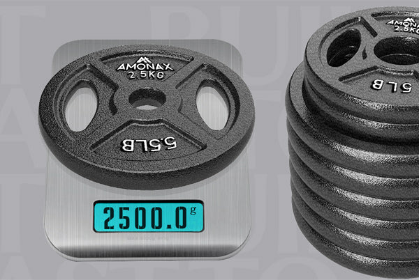 2.5 kg Weight Plates