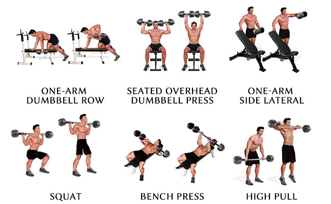 metal dumbbells set