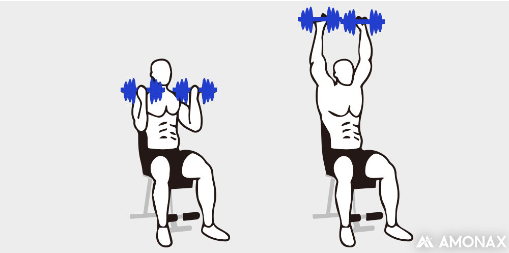 Dumbbell workout - Arnold Press