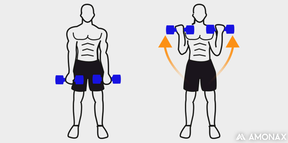 dumbbell curls