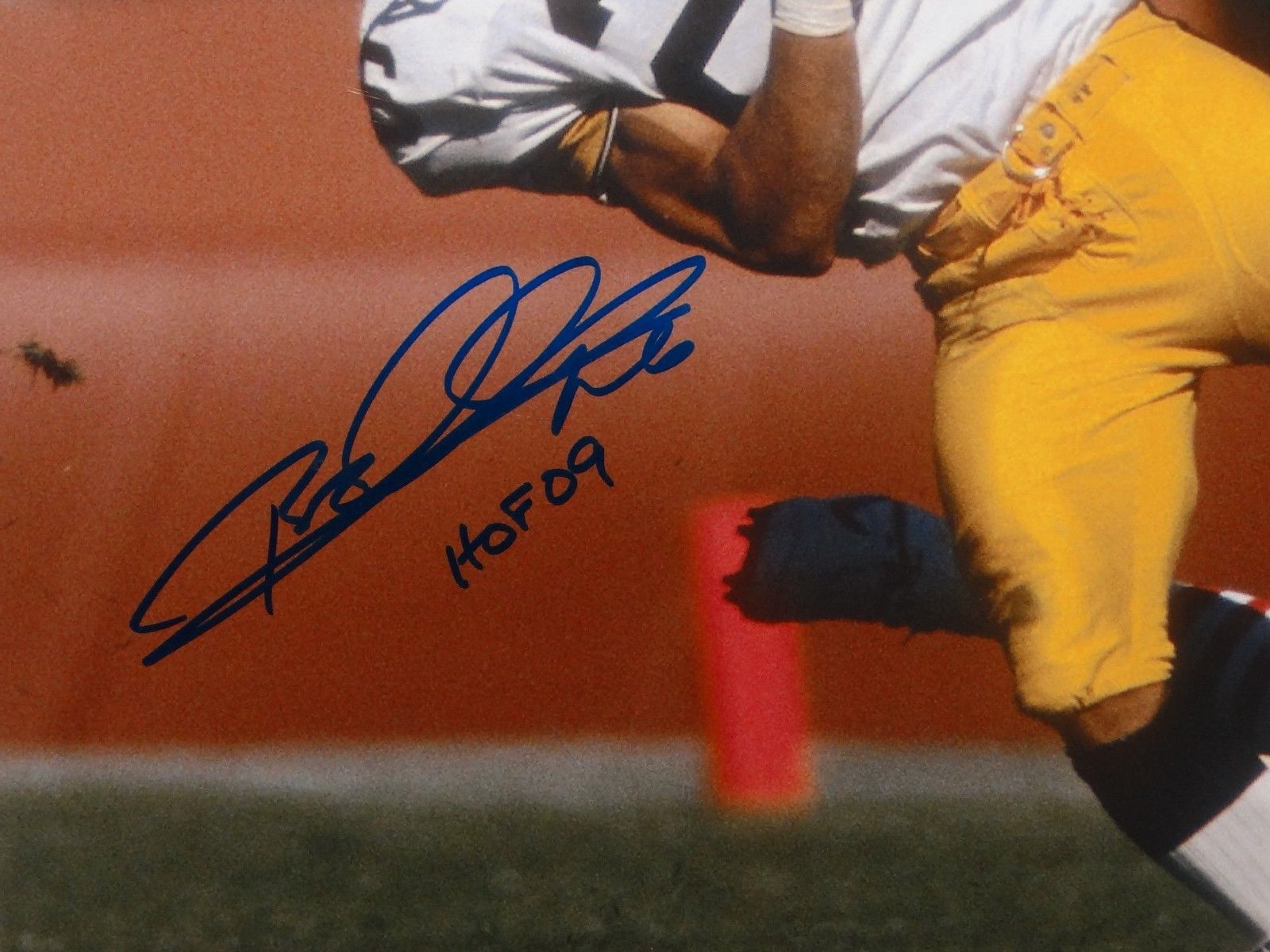 Rod Woodson Autographed 16x20 Horizontal Steelers Photo- JSA W Authentictaed