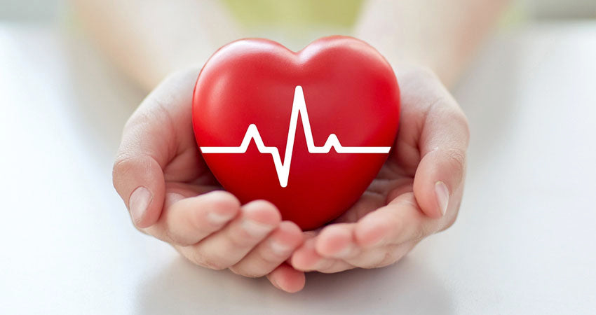 Potential Heart Benefits