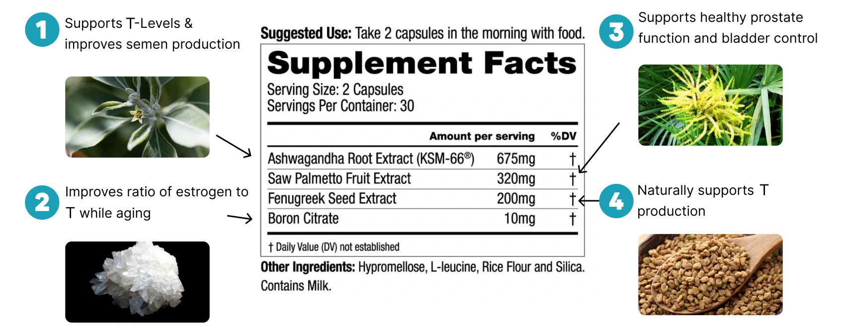 AGM Product ingredients