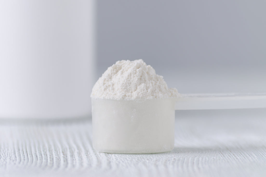 scoop of creatine powder