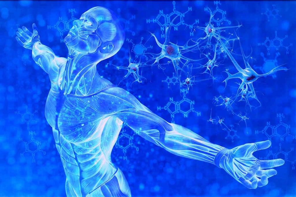 Digital illustration of man and chemical formula DNA | Metabolic Balance For Maximum Health | metabolic imbalance | Metabolic syndrome symptoms