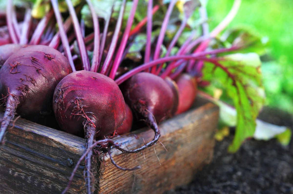 beets