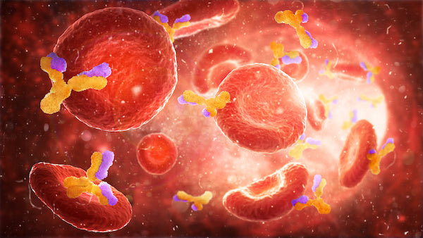 Red blood cells