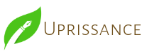 Uprissance. Coupons and Promo Code