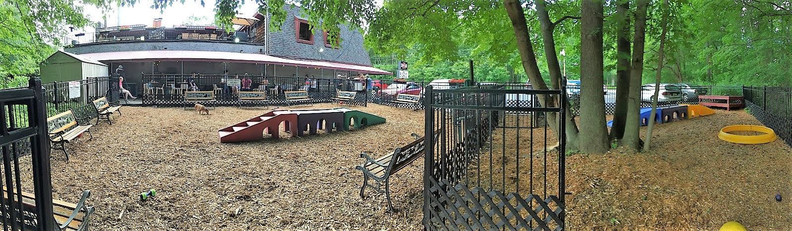 Dog Playground Equipment, Puppy