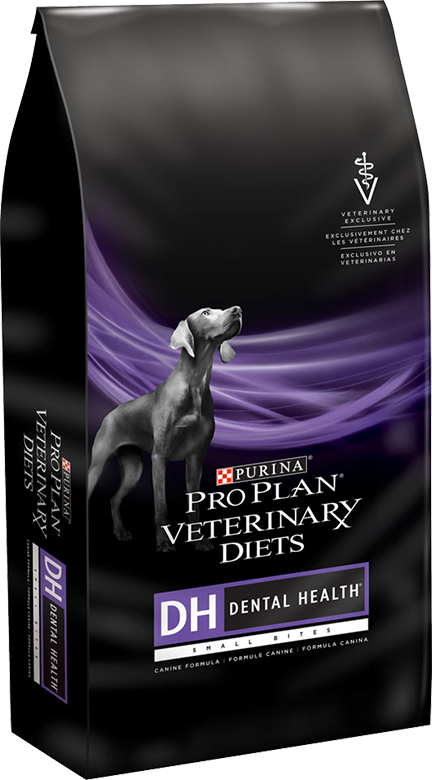 is dry dog food better for teeth