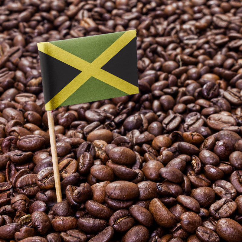 jamaican coffee