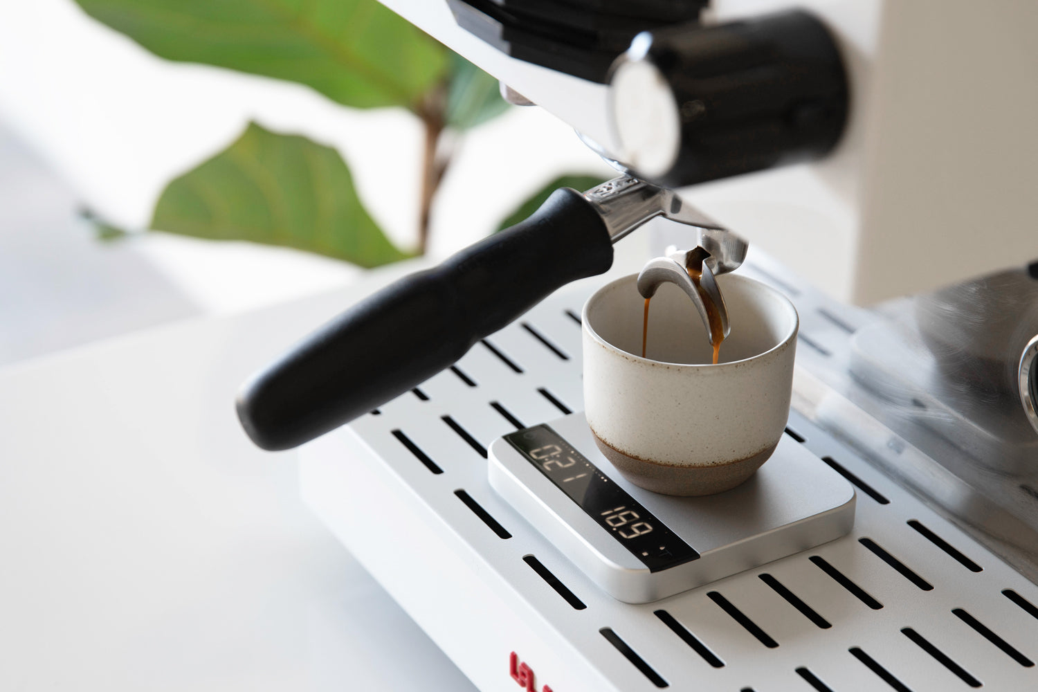 Buy Calibrated Espresso Tamper 53mm & 58mm – Chris' Coffee