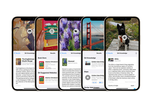 Procura Visual | iOS 15 | Apple iPhone
