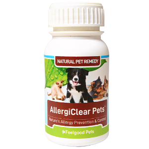 can you give allergy medicine to dogs