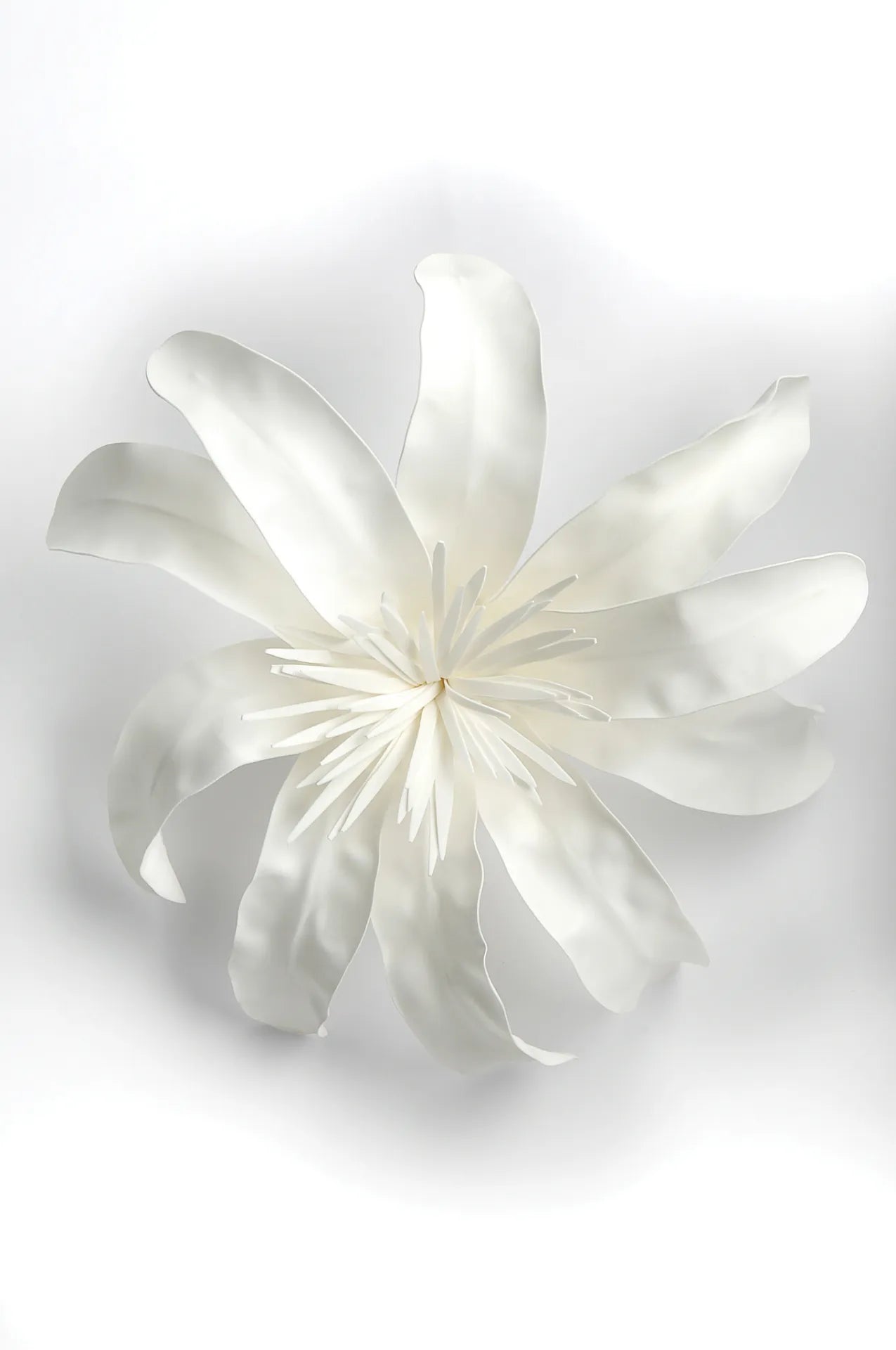 Tiare Flower - White