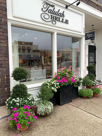 A white wooden storefront with pots of pink flowers and topiary bushes in front of a sign reading Talulah Belle in Downtown Rochester.