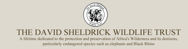 David Sheldrick Wildlife Trust