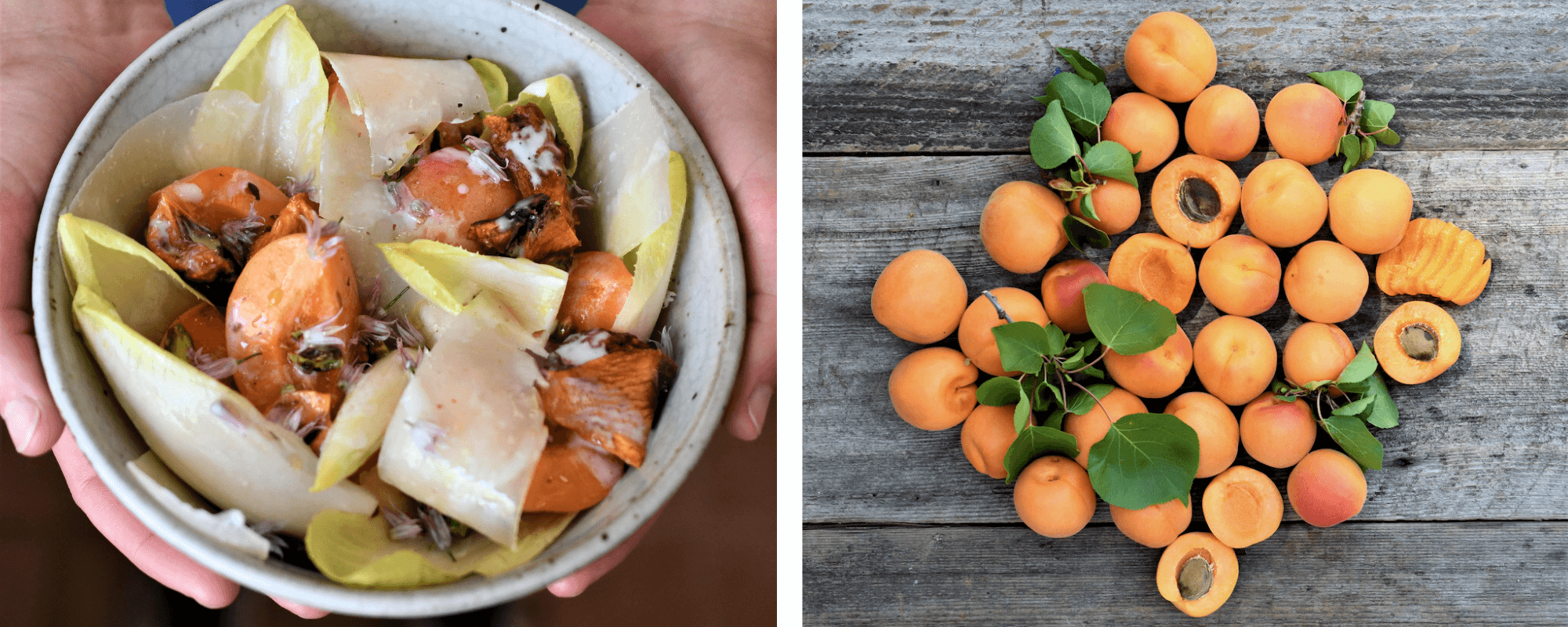 Right: Endive & Apricot Summer Salad, Left: Frog Hollow Farm Apricots