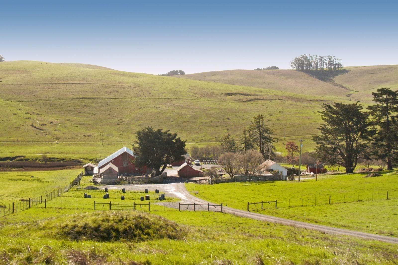 Stemple Creek Ranch hills in Marin County, California