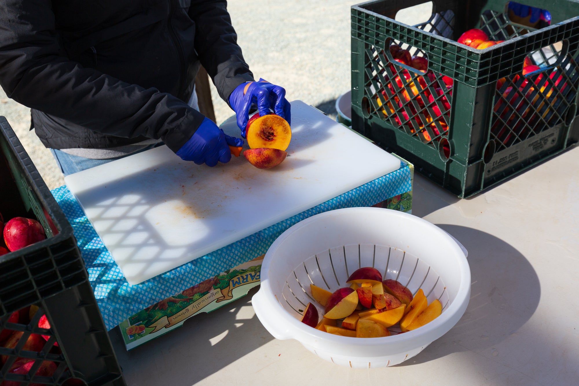 Cutting fresh nectarines by hand to place on drying racks
