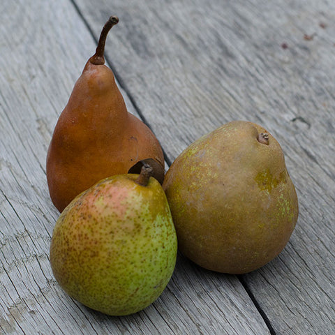 How to Prevent Apple & Pear Slices from Browning