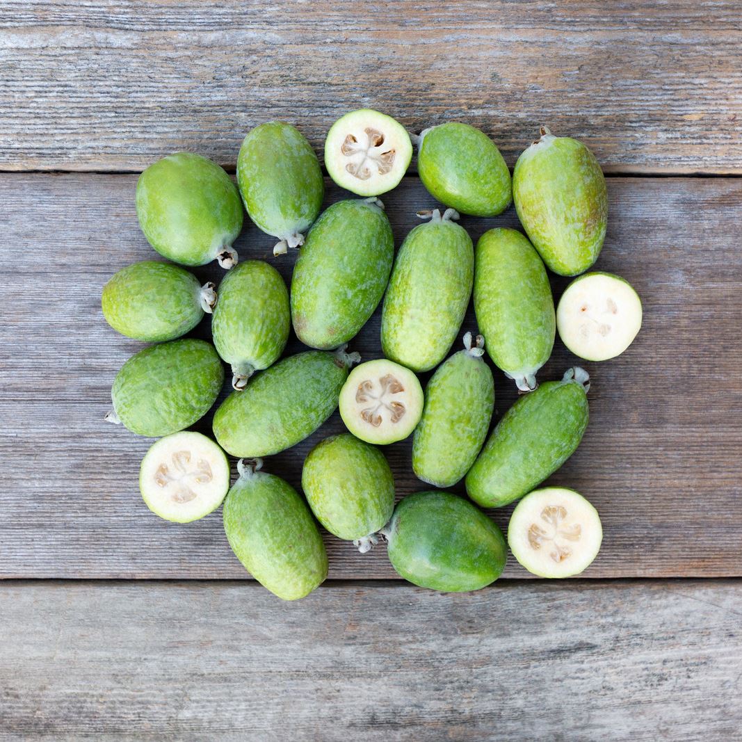 Image of Organic Feijoa (Pineapple Guava)